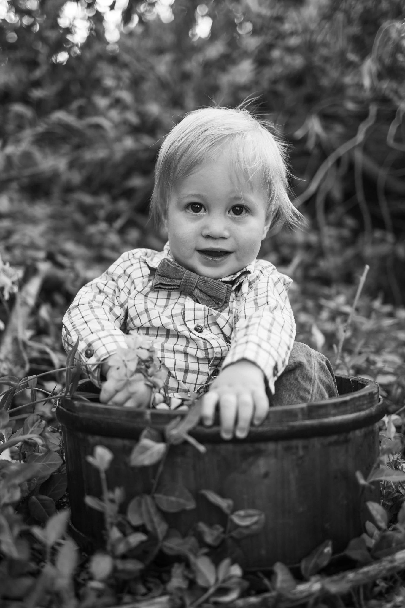 webgreene2026BW.13.jpg