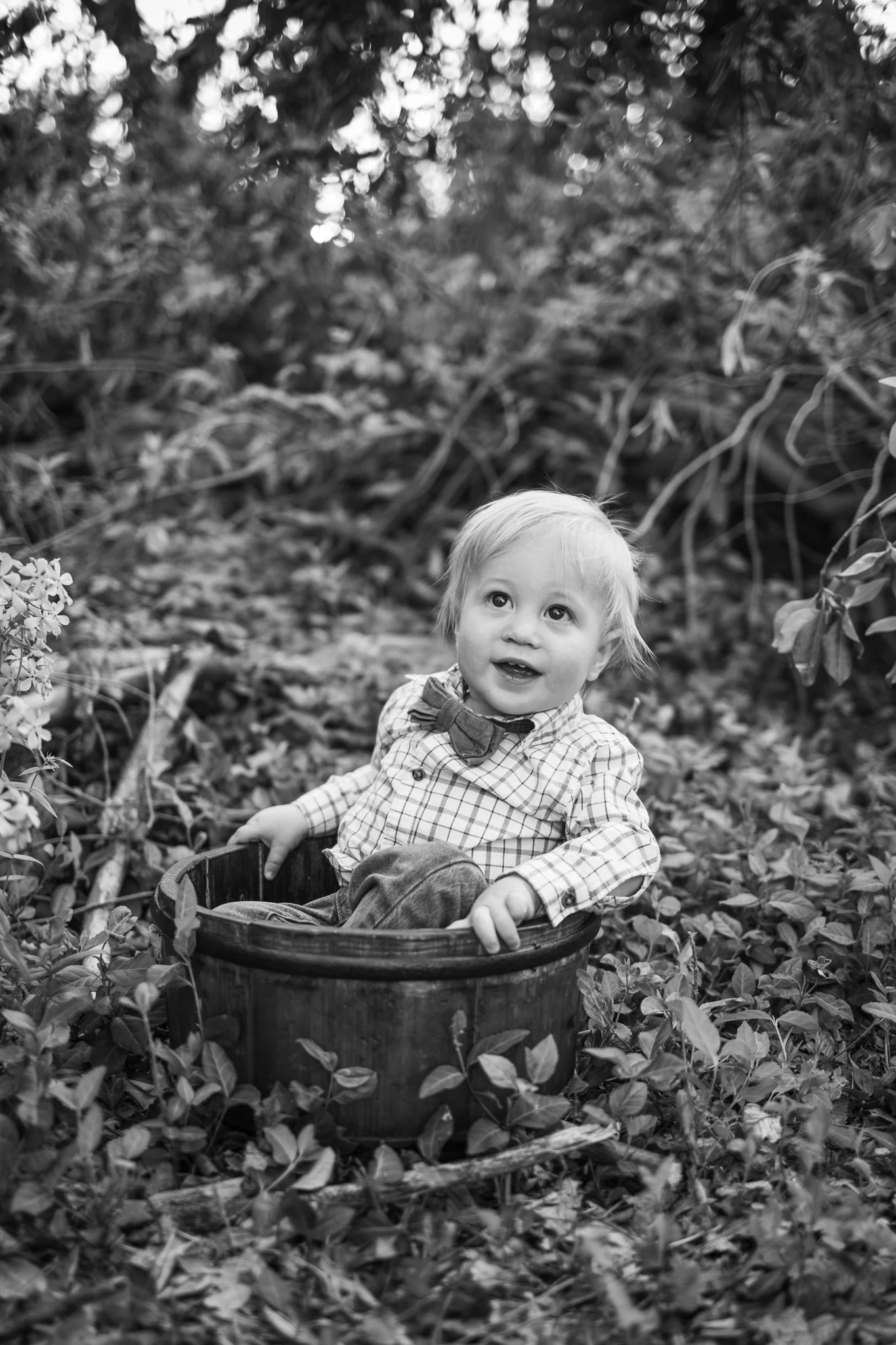 webgreene2026BW.2.jpg