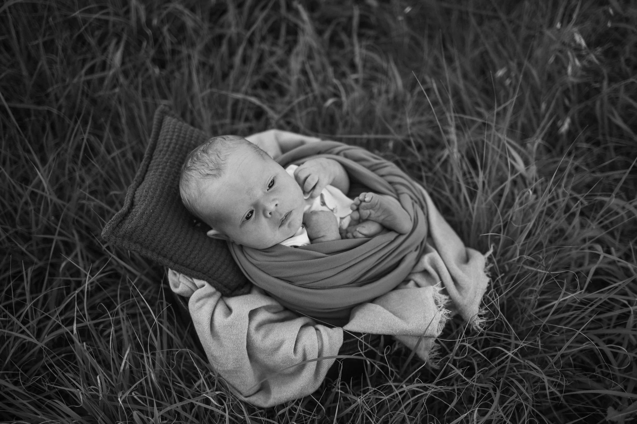 arthurnewborn2026web.202.jpg