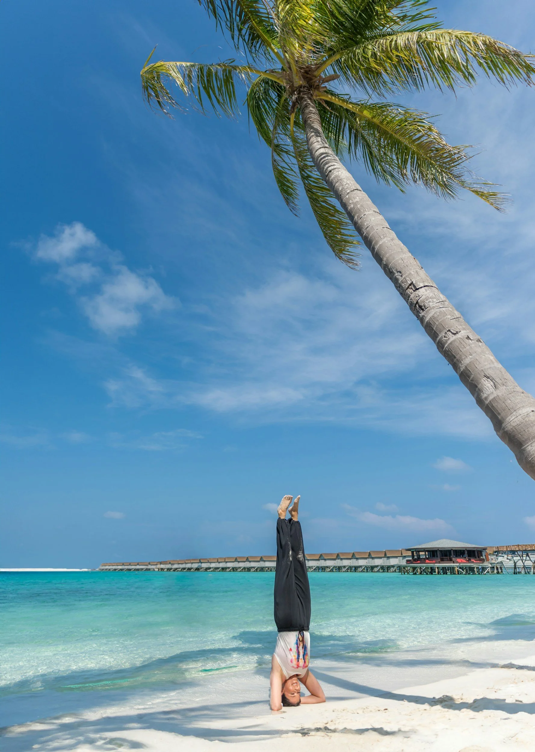 The 20 Gunas of Ayurveda