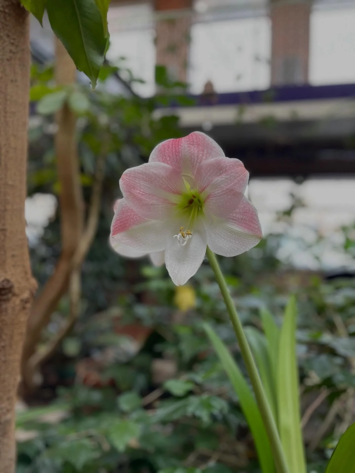 There&rsquo;s beauty all around us. 🌸