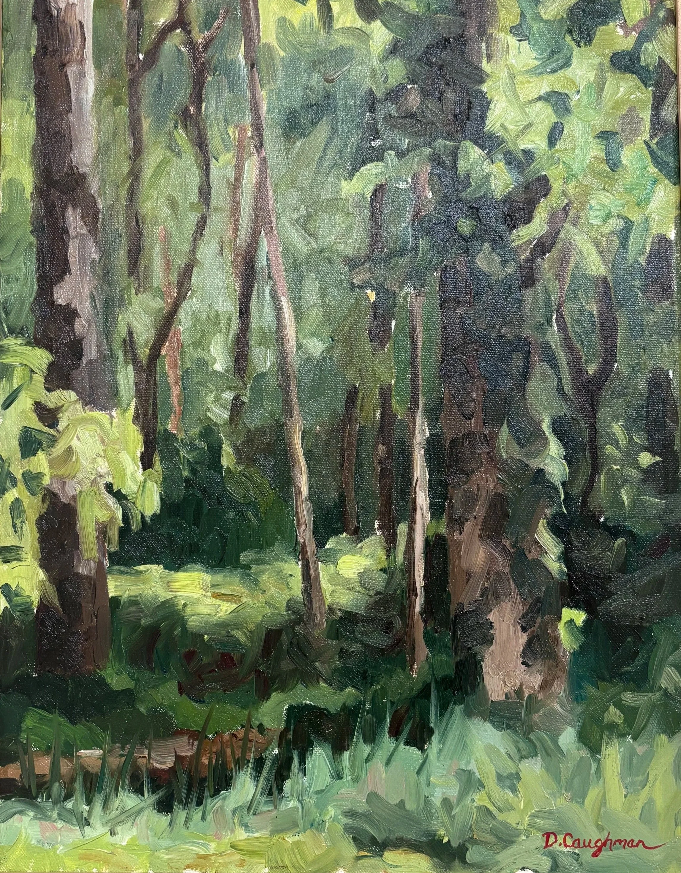 "In The Forest" 11"x18"  $575
