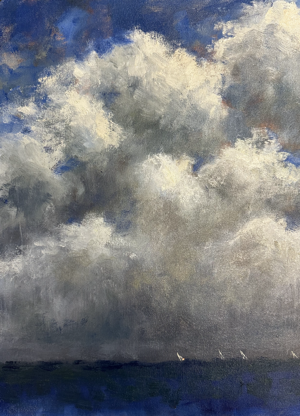 Dede Caughman "Beating the Storm"  
12" x 16"  $800