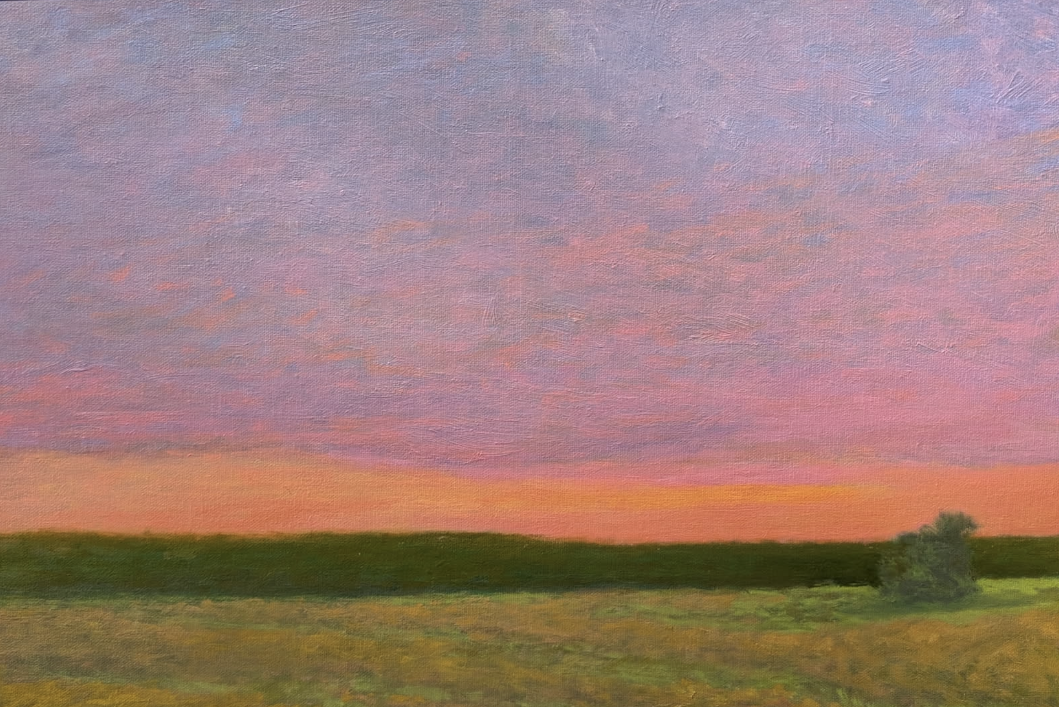 Harry Stewart "Beaufort Farmlands"
12" x 16"                       $900