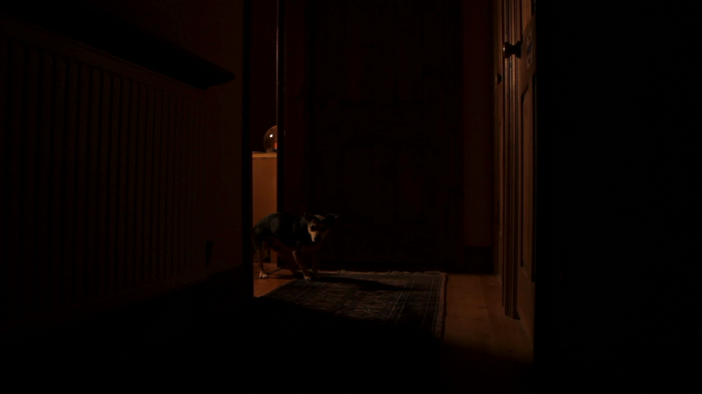 Screen Shot 2022-08-04 at 12.41.11 PM.png