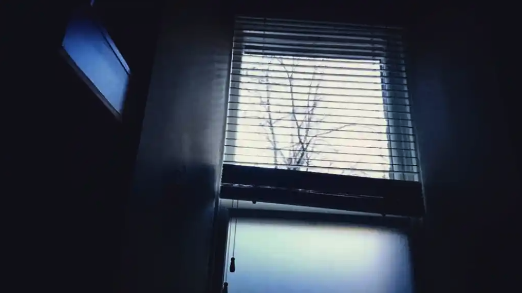 Screen Shot 2022-08-04 at 12.17.05 PM.png