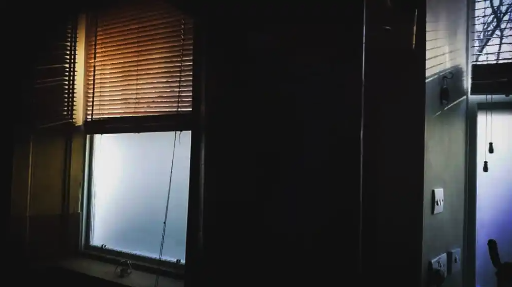 Screen Shot 2022-08-04 at 12.16.54 PM.png