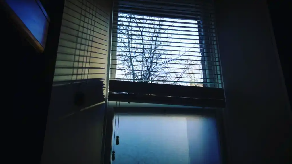 Screen Shot 2022-08-04 at 12.16.43 PM.png