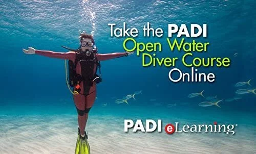 PADI Open Water scuba diving certification course in San Diego with beginner divers underwater.