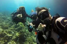 Private 2-Tank Guided Scuba Dive – La Jolla Shores or Cove