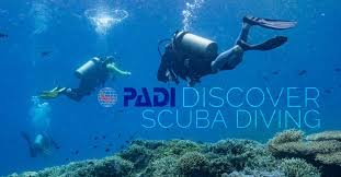 Discover scuba diving experiences in San Diego at La Jolla Shores or Mission Bay