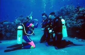 PADI Open Water Diver eLearning course for scuba certification and scuba lessons in San Diego