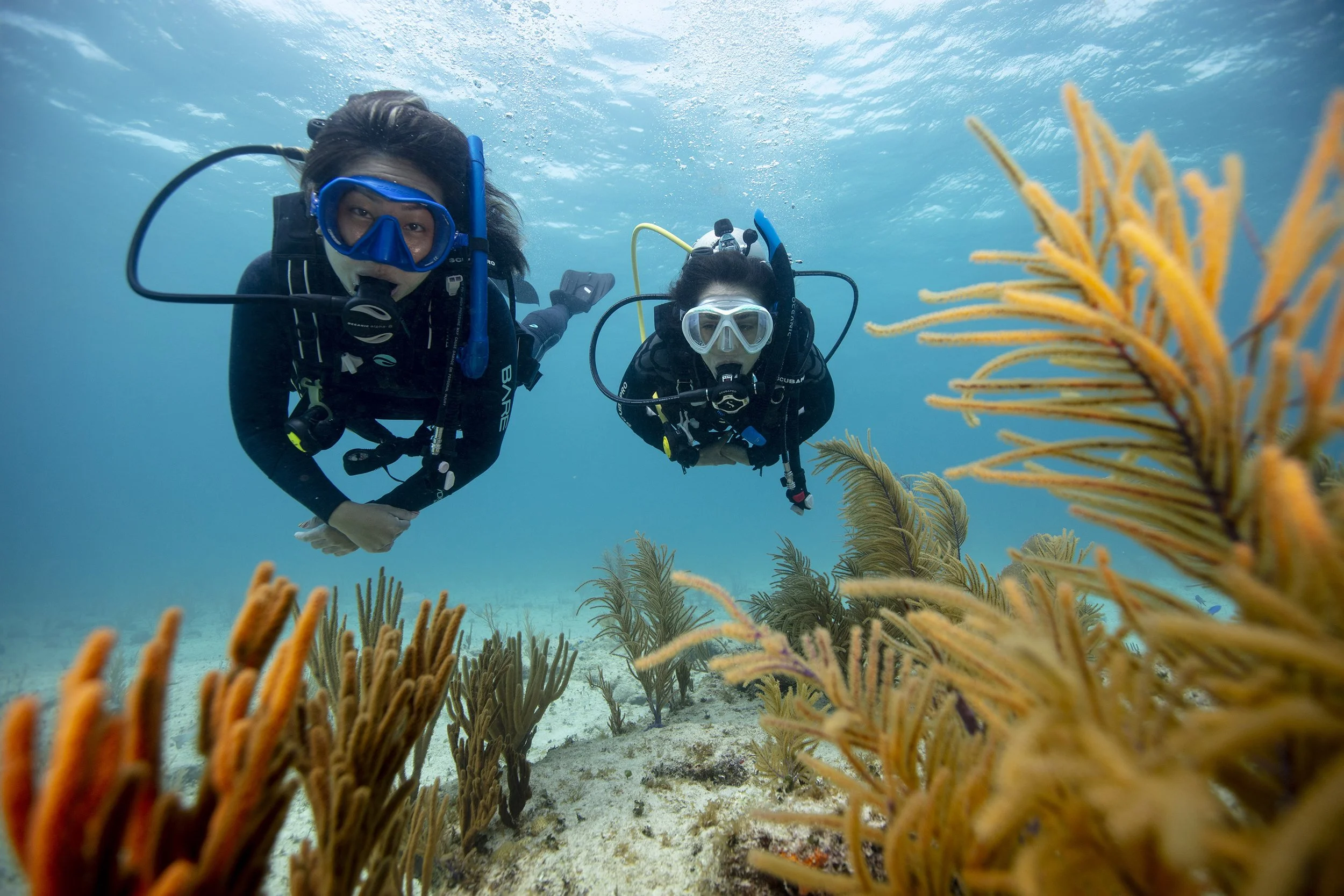 Beginner scuba diver training at La Jolla Shores in San Diego during private Discover Scuba session
