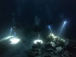 Private Guided Night Dive – La Jolla Shores