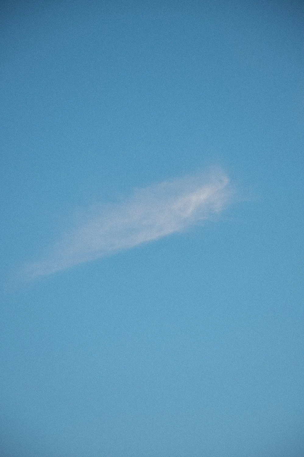 _MG_7259.jpg