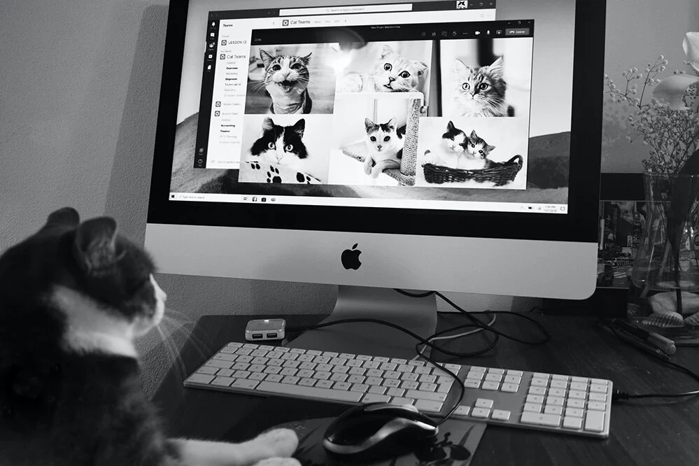 Stag IT Services - IT Support.jpg