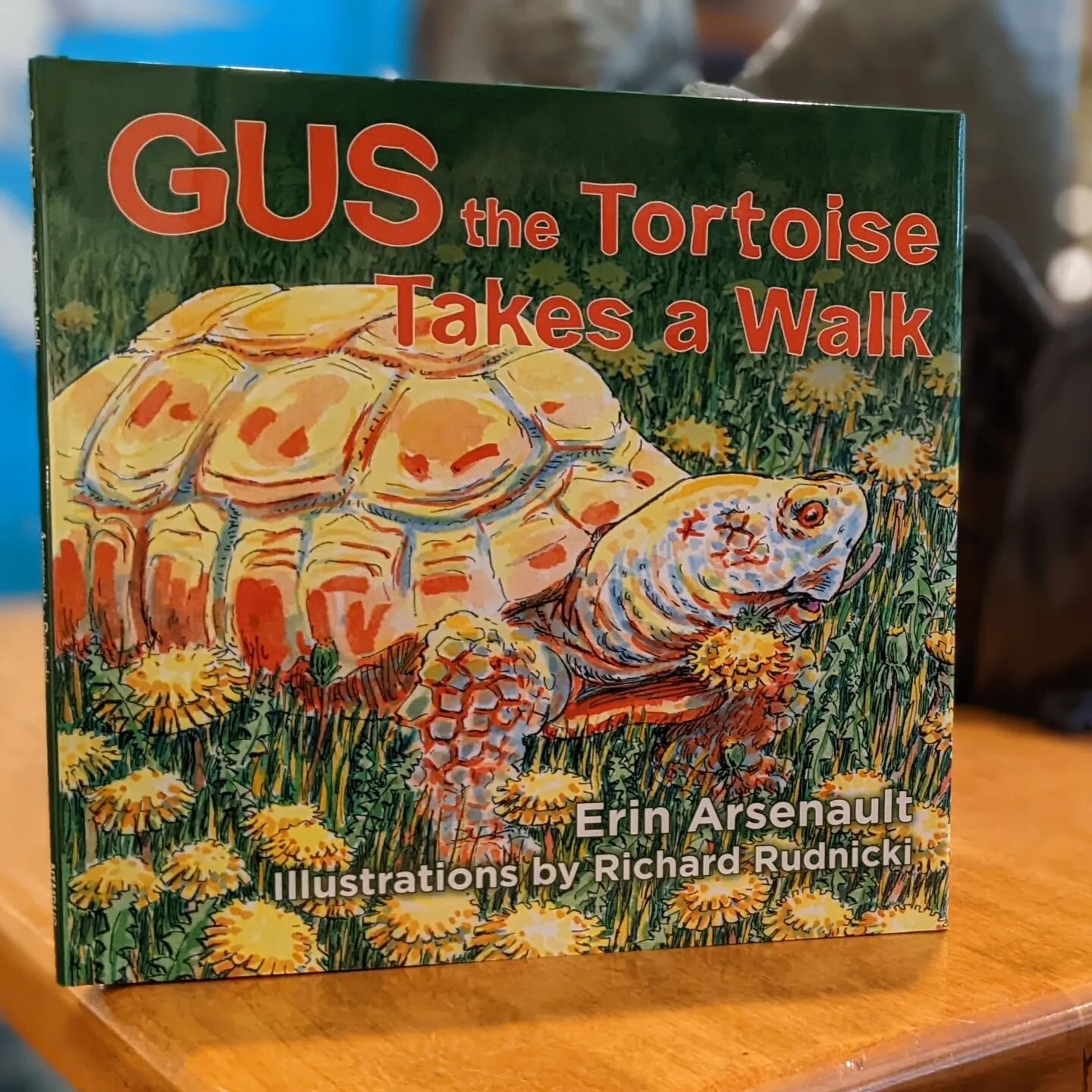 Happy 100th Hatch-Day to Gus the gopher tortoise, longtime resident of the Nova Scotia Museum of Natural History here in Halifax! 🎉🎉🎉