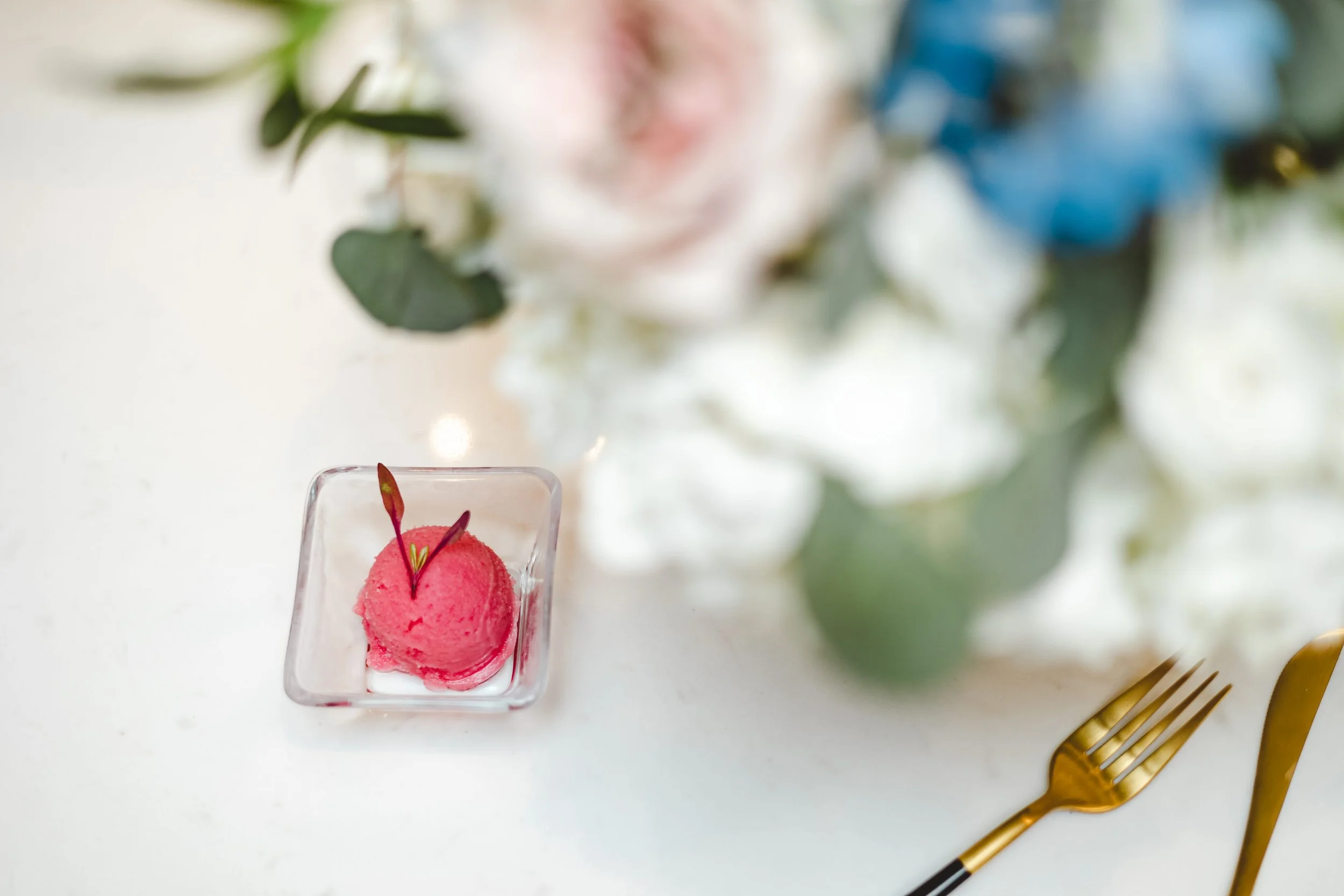 Private chef plated sorbet dessert at a private dinner party.