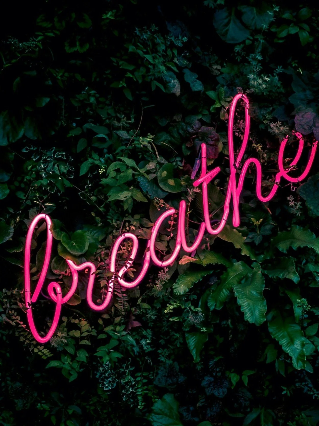 BreathWORTH™