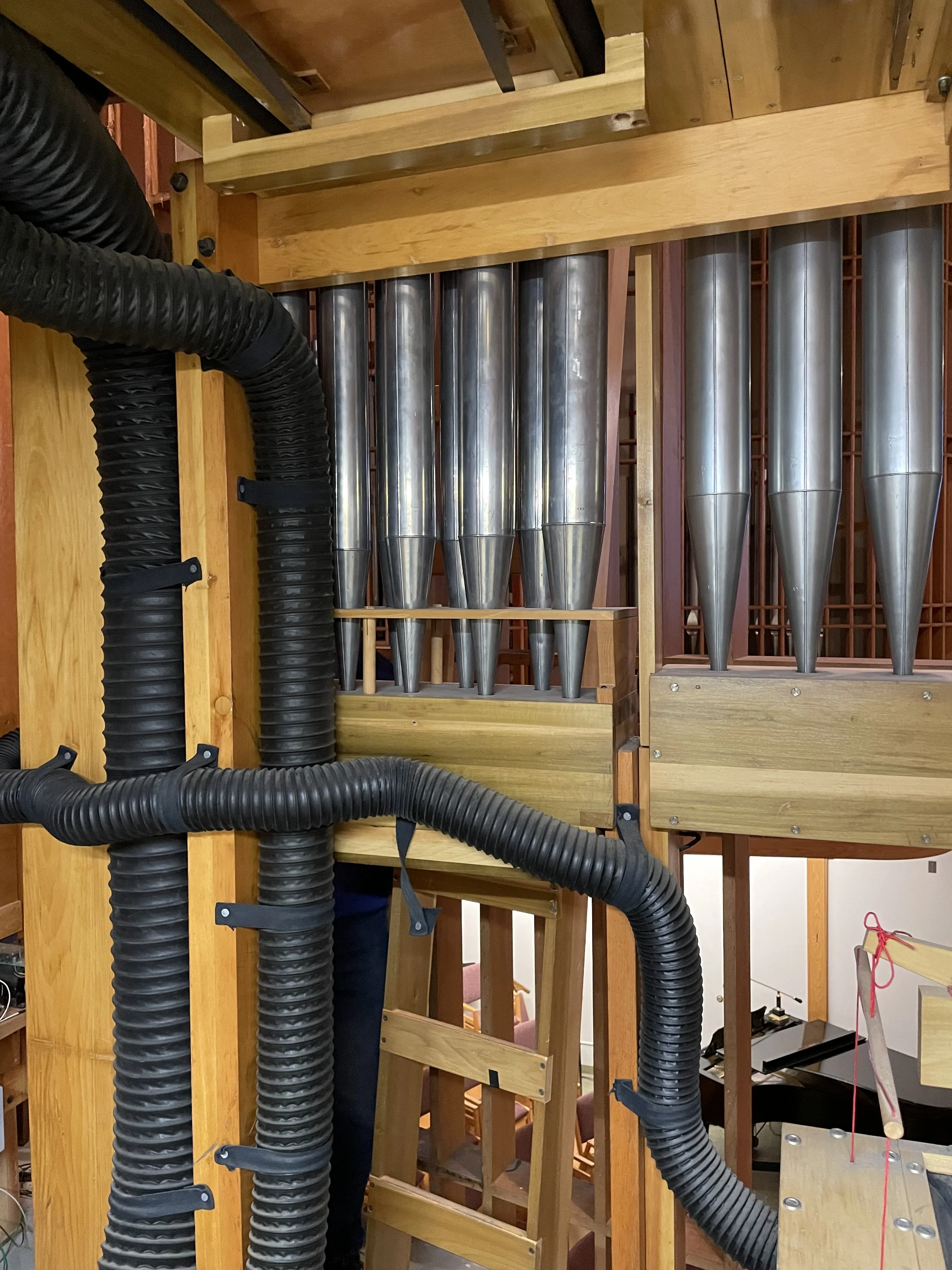 black hoses.jpeg