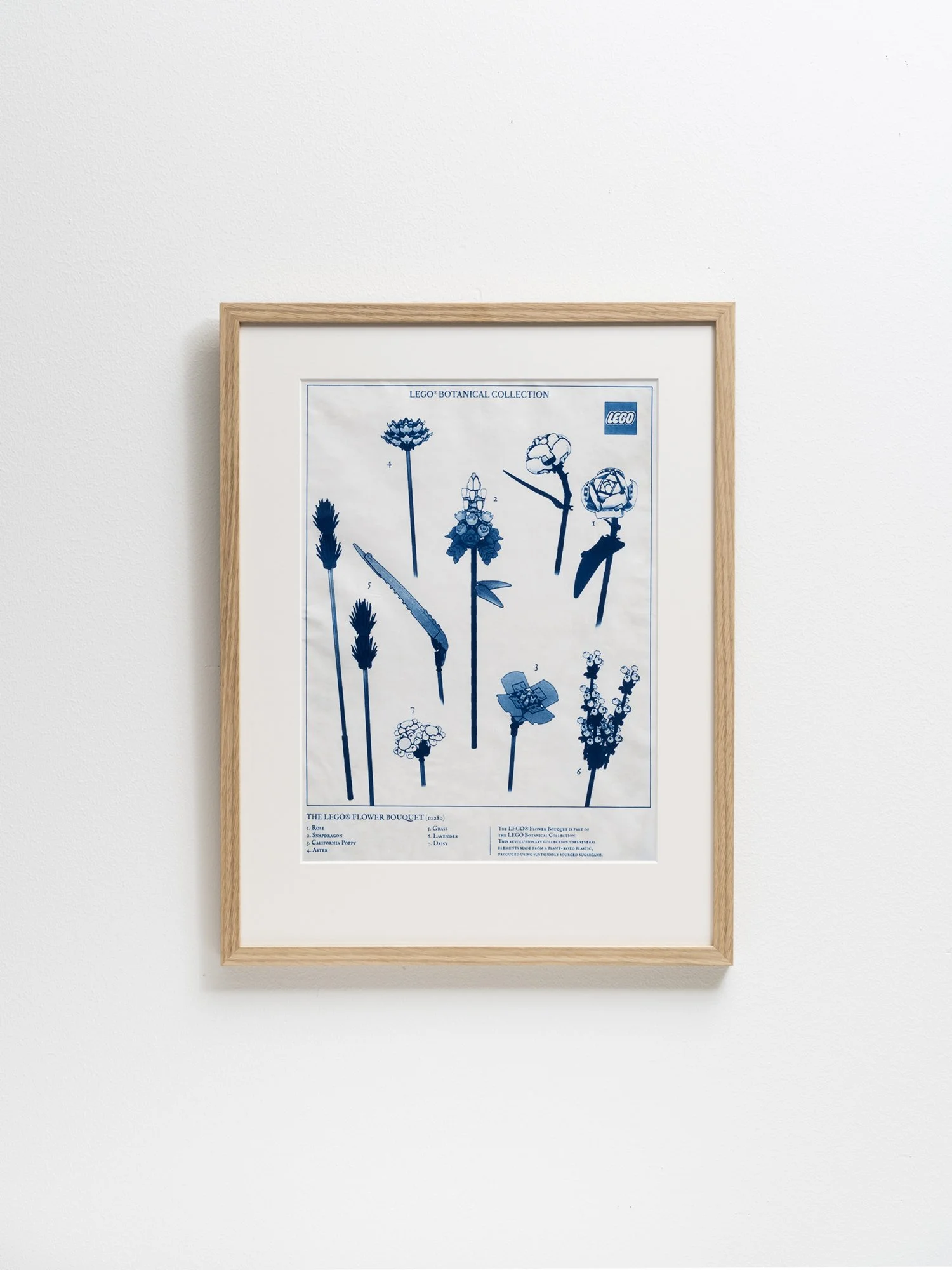 Lego Botanical Collection, 2024, Cyanotype on masa paper, 38x50 cm