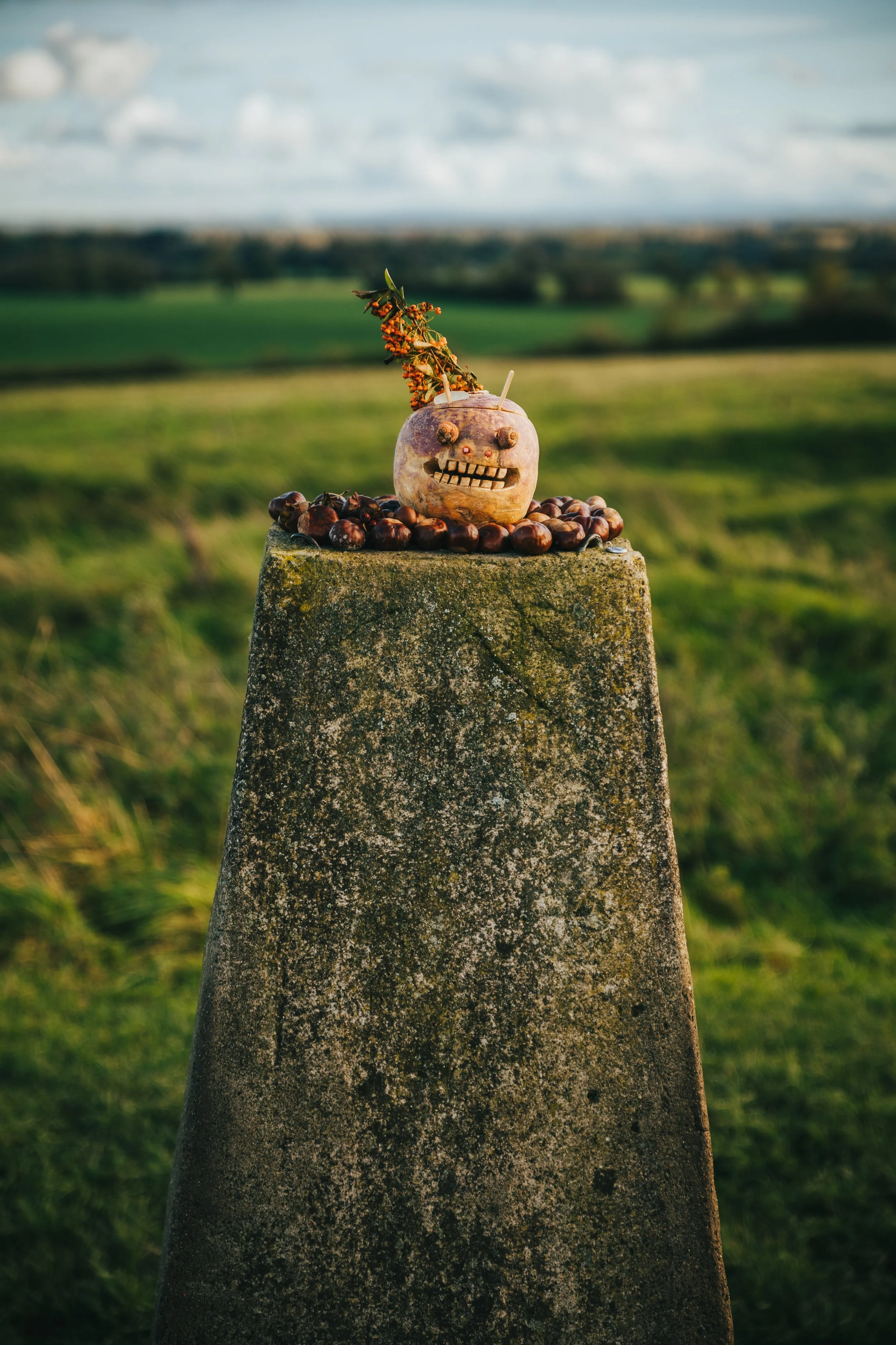 Carve a turnip for Samhain (Halloween) — Irish Nature Heritage