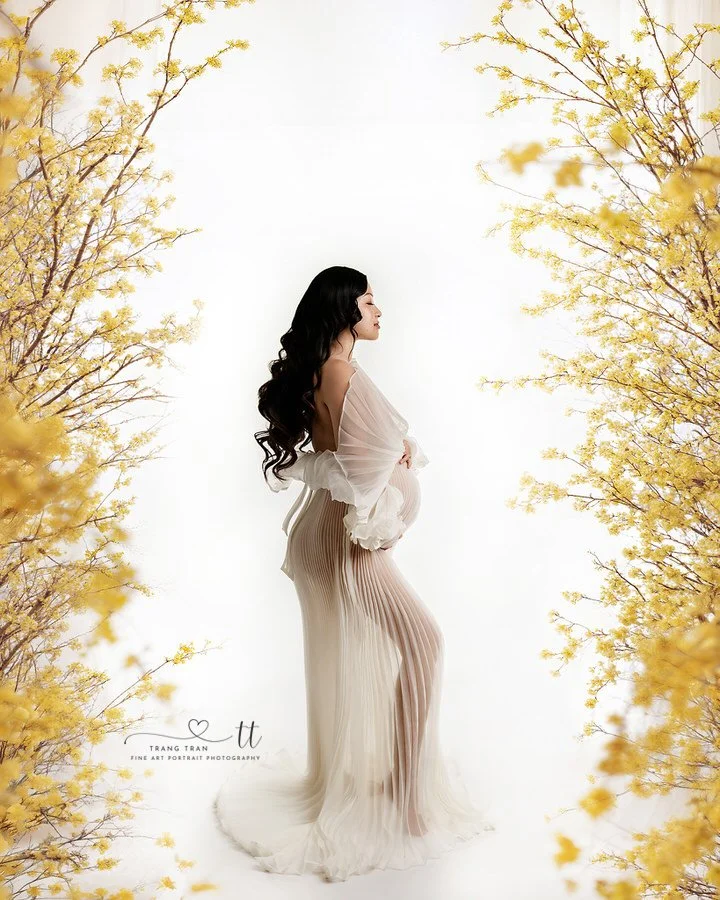 Denver maternity photographer – mom in neutral pleated gown and sheer wrap, surrounded by golden spring branches.