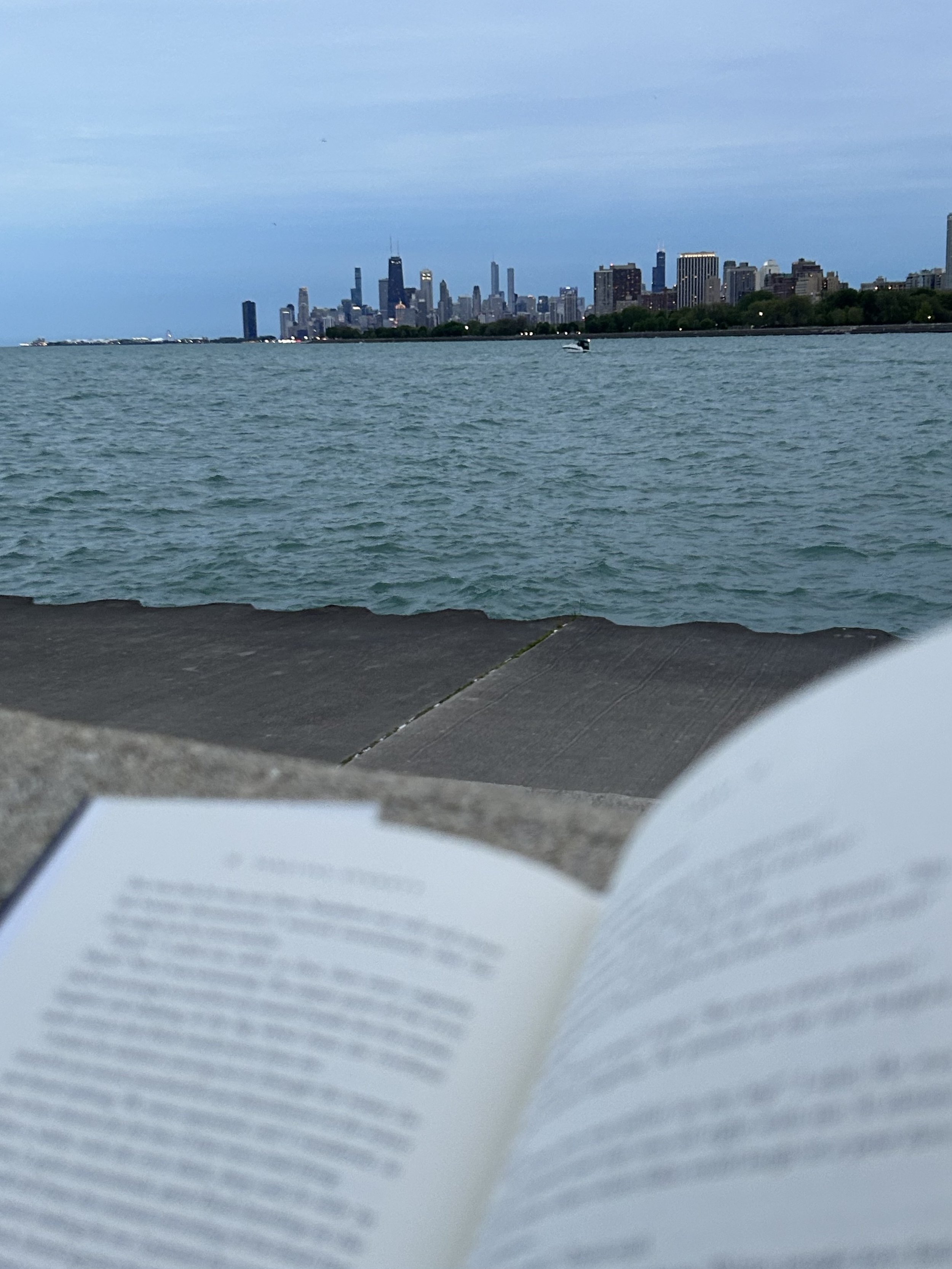 Outdoor Reading Gathering: Montrose Beach in Uptown