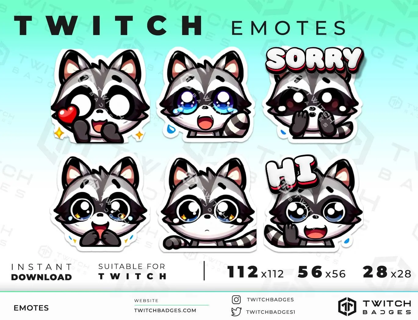 Raccoon Twitch Emotes
