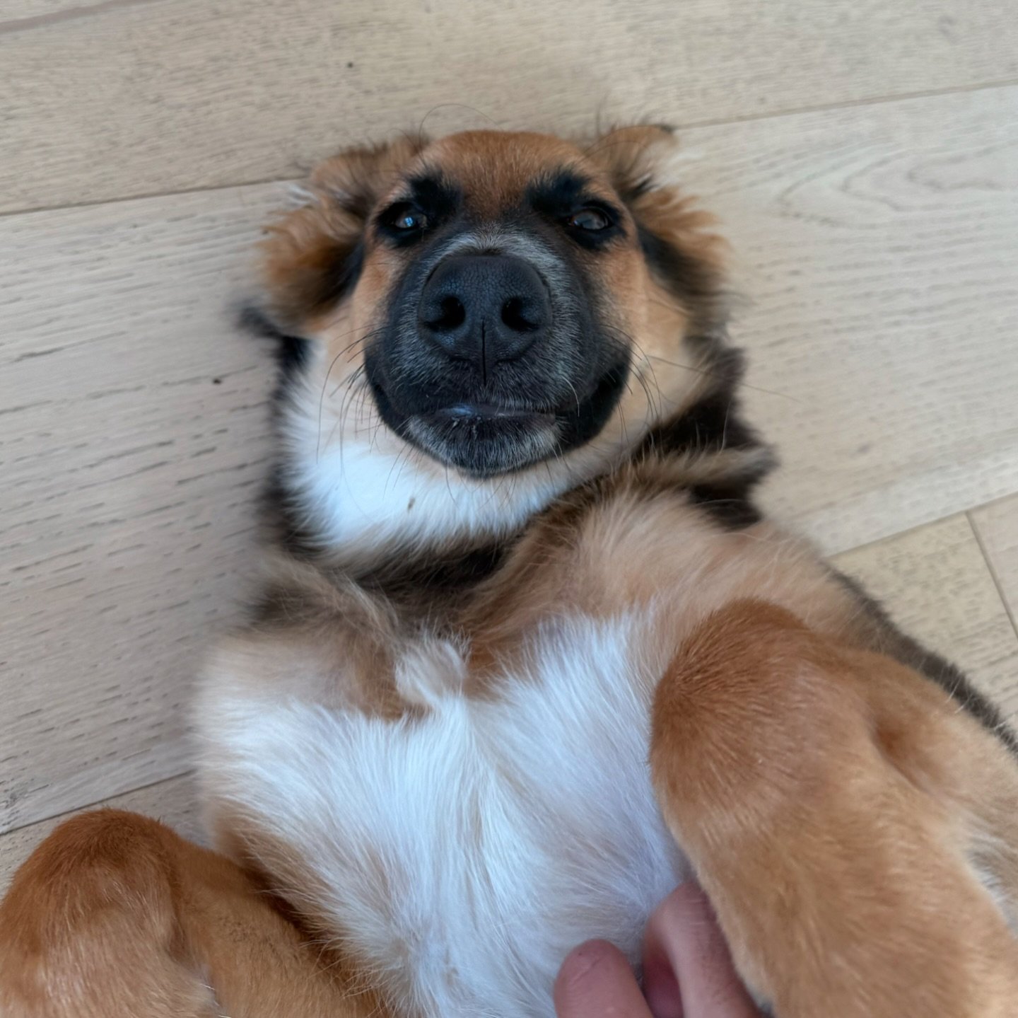 K9U kids caught in 4k😂😂😂 (Swipe for jump scare)