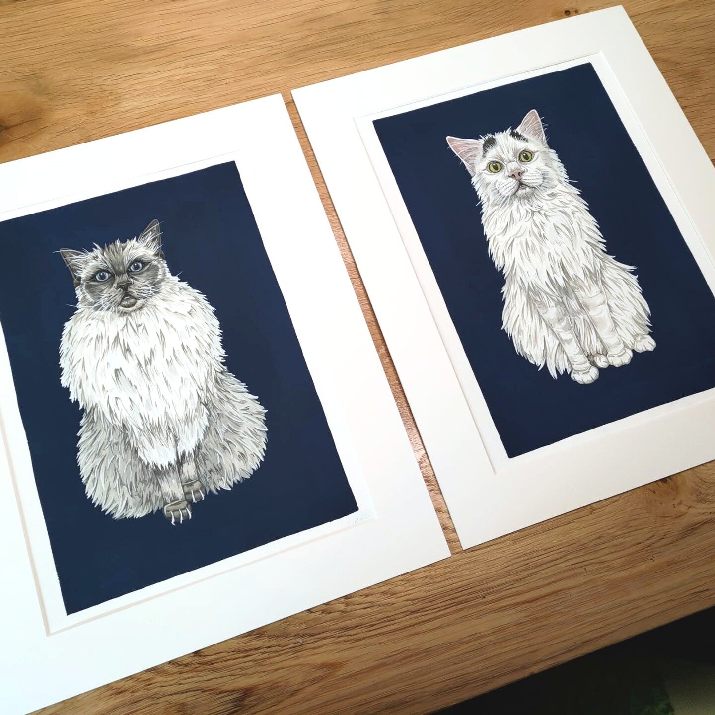 Cats! 🐈 ❤️

Portraits of Cricket and Otter, gouache on paper. 

I was commissioned to paint these two cuties by their owner, who wanted their portraits to hang in their new house! 
Its been a long time since I've done a pet portrait so I'm happy wit