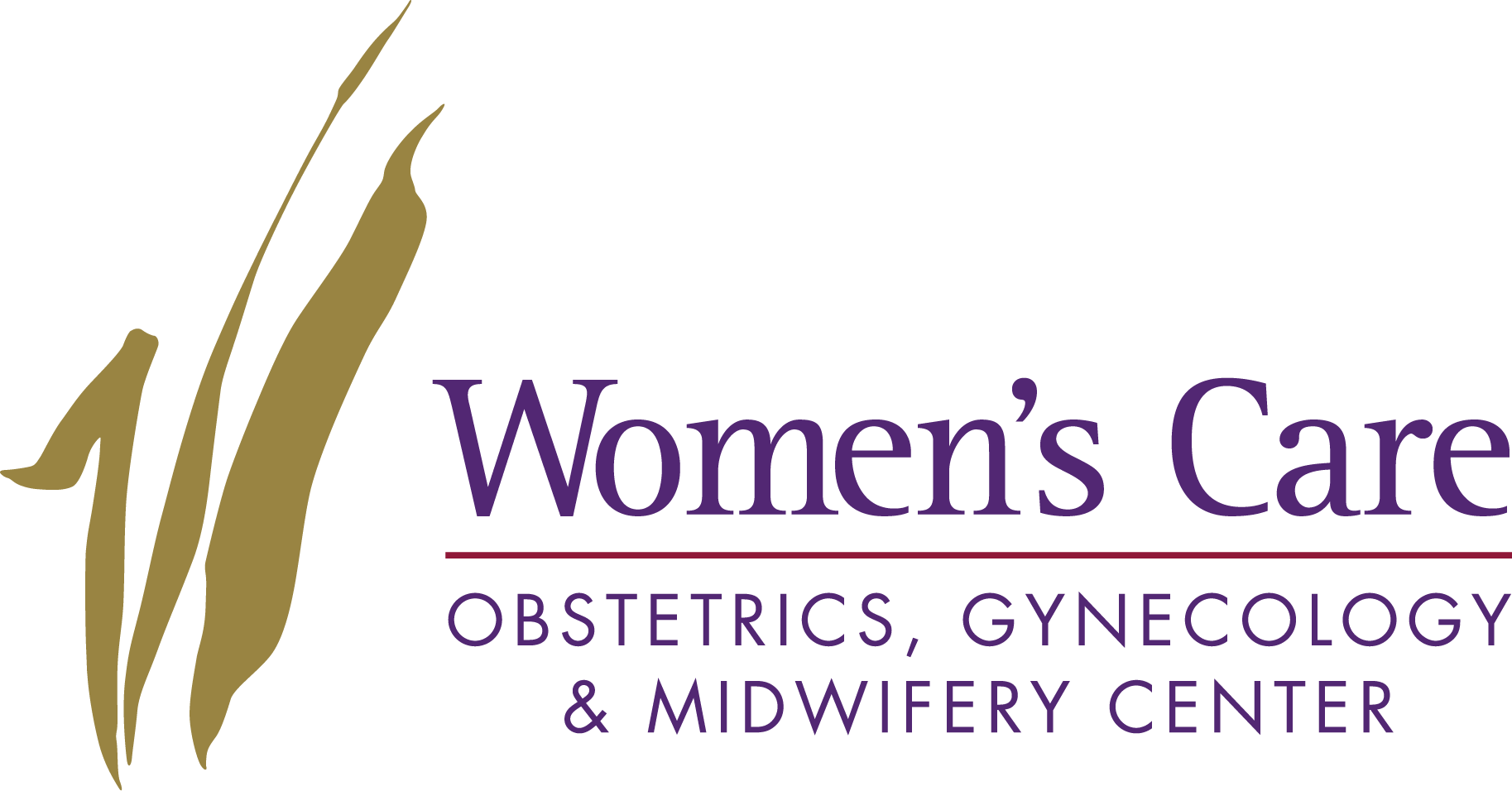 WOMC logo-horizontal-Midwives 300dpi.png