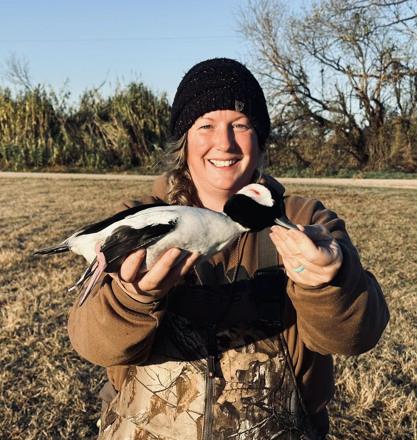 I harvested my first Bufflehead drake this morning! 

#texaswomensoutdoors #gettingwomenoutdoors #oneadventureatatime #fellowshipandfriendship #moreadventureplease #bufflehead #buffleheaddrake #comanchecounty