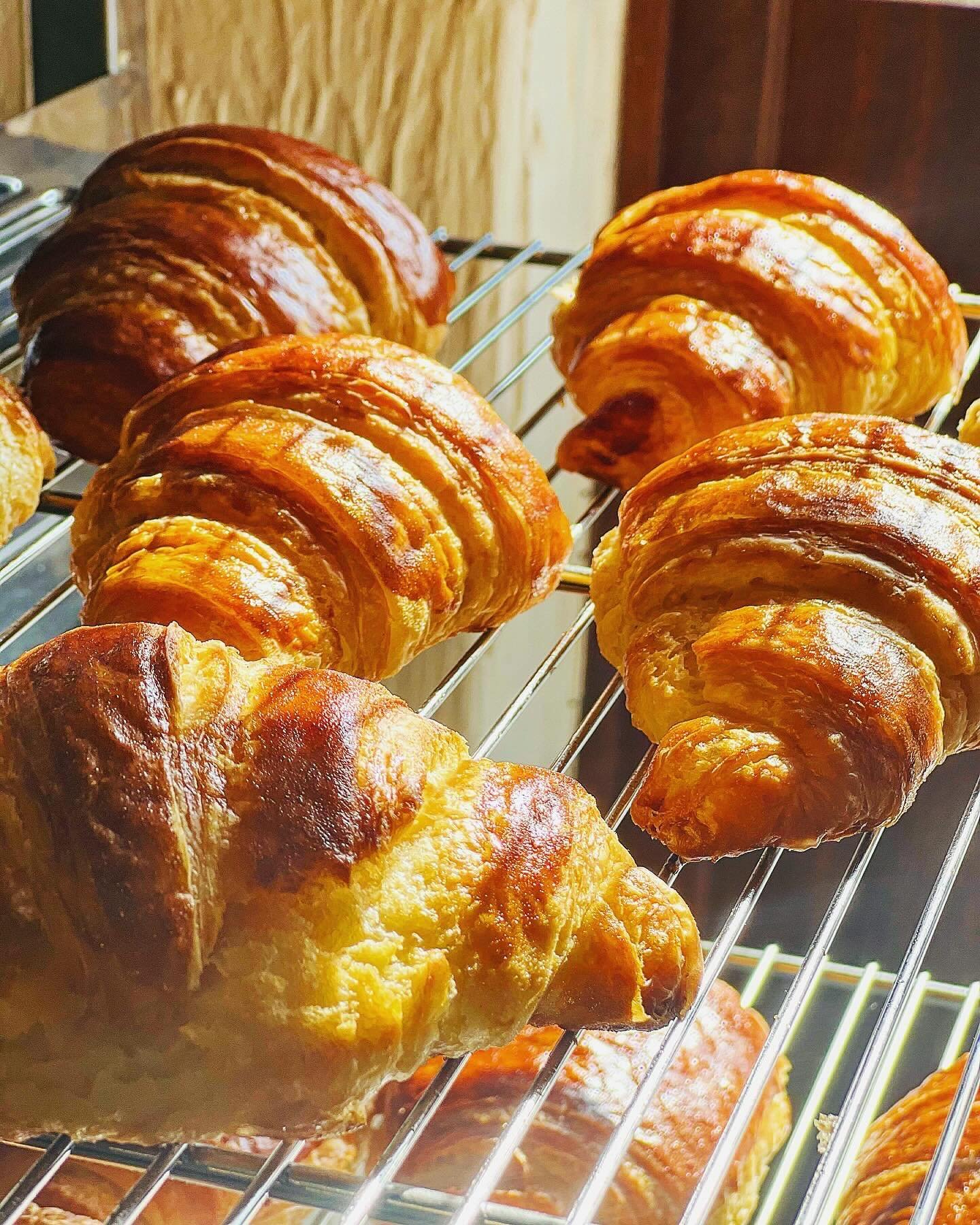 Croissant &amp; Pain au Chocolat glistening in the ☀️
#ourlifeatthebarn #barnbakes #frenchpastries #morningpastry #artisanpastry