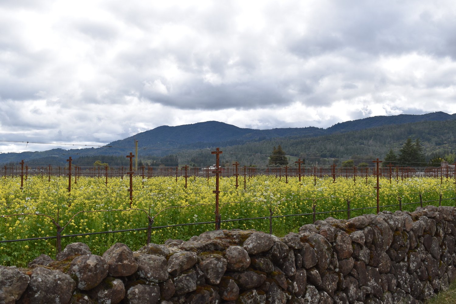 Community Letter — Close Clover Flat Landfill & UVDS Waste Sites