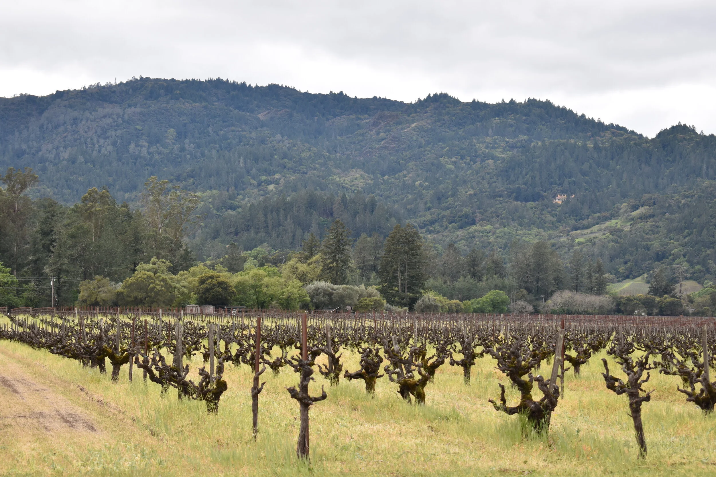 Contact — Close Clover Flat Landfill & UVDS Waste Sites