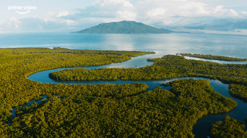 Rise Madagascar | Documentaire