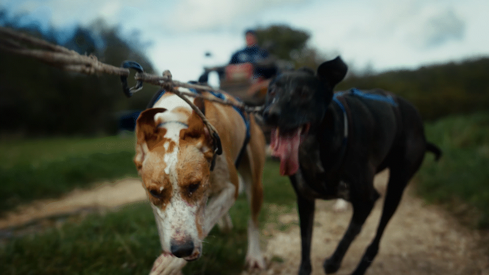 La Grande Odyssée | Reportage