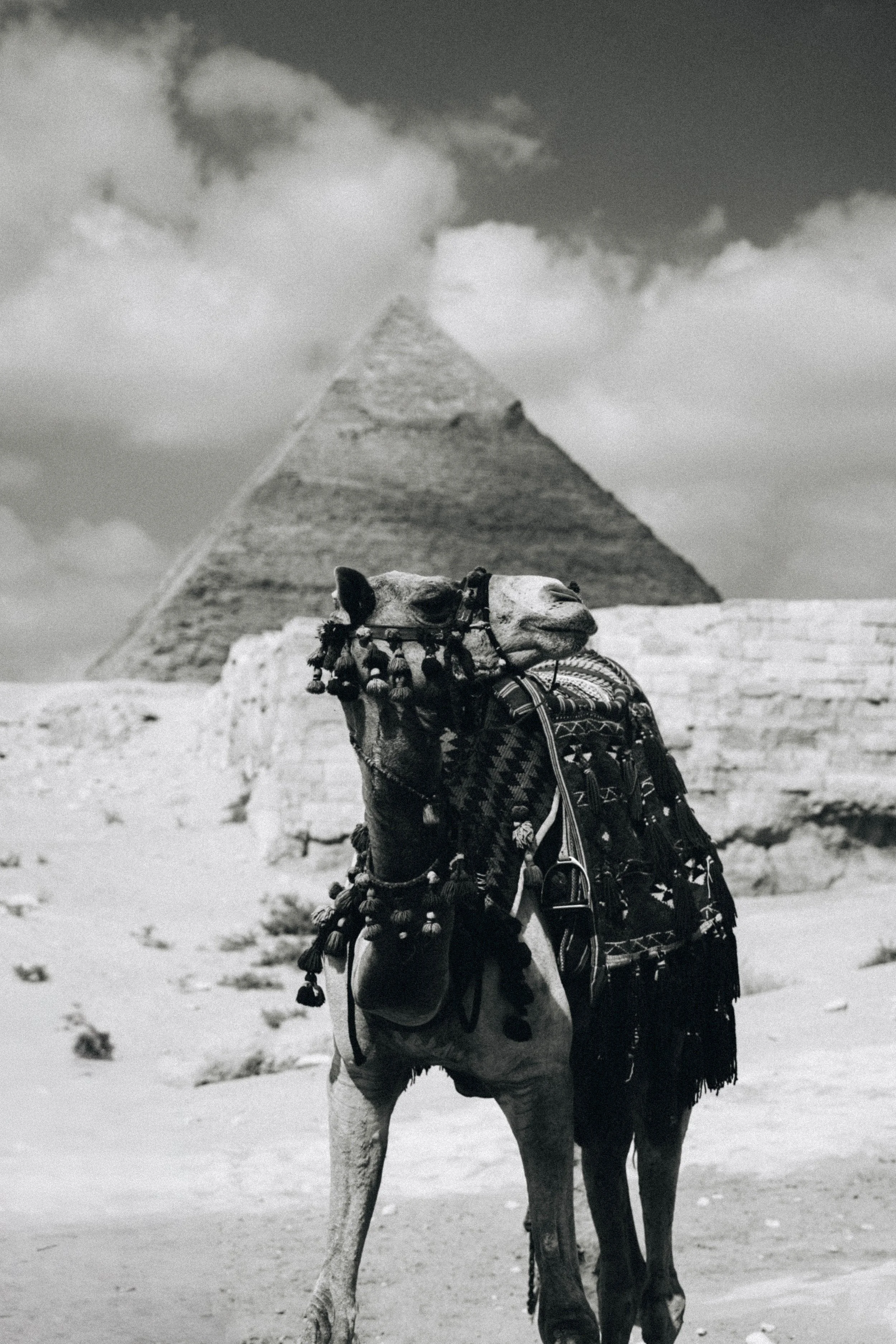 Images nocturnes des pyramides et sphinx par photographe