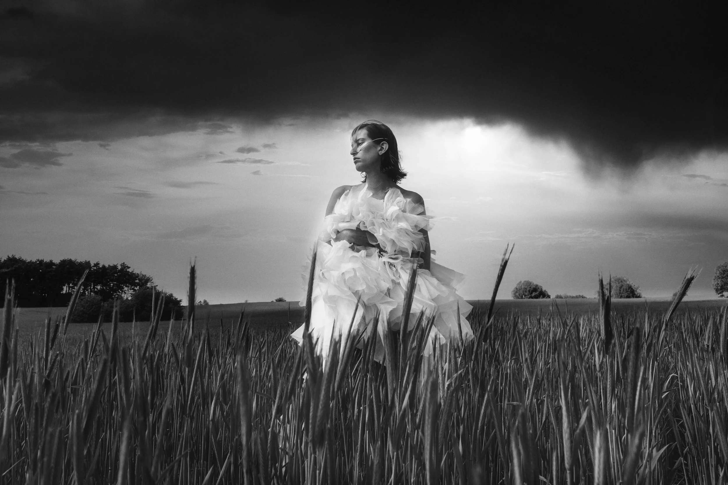 FV1A4856-reEdit 2.jpeg