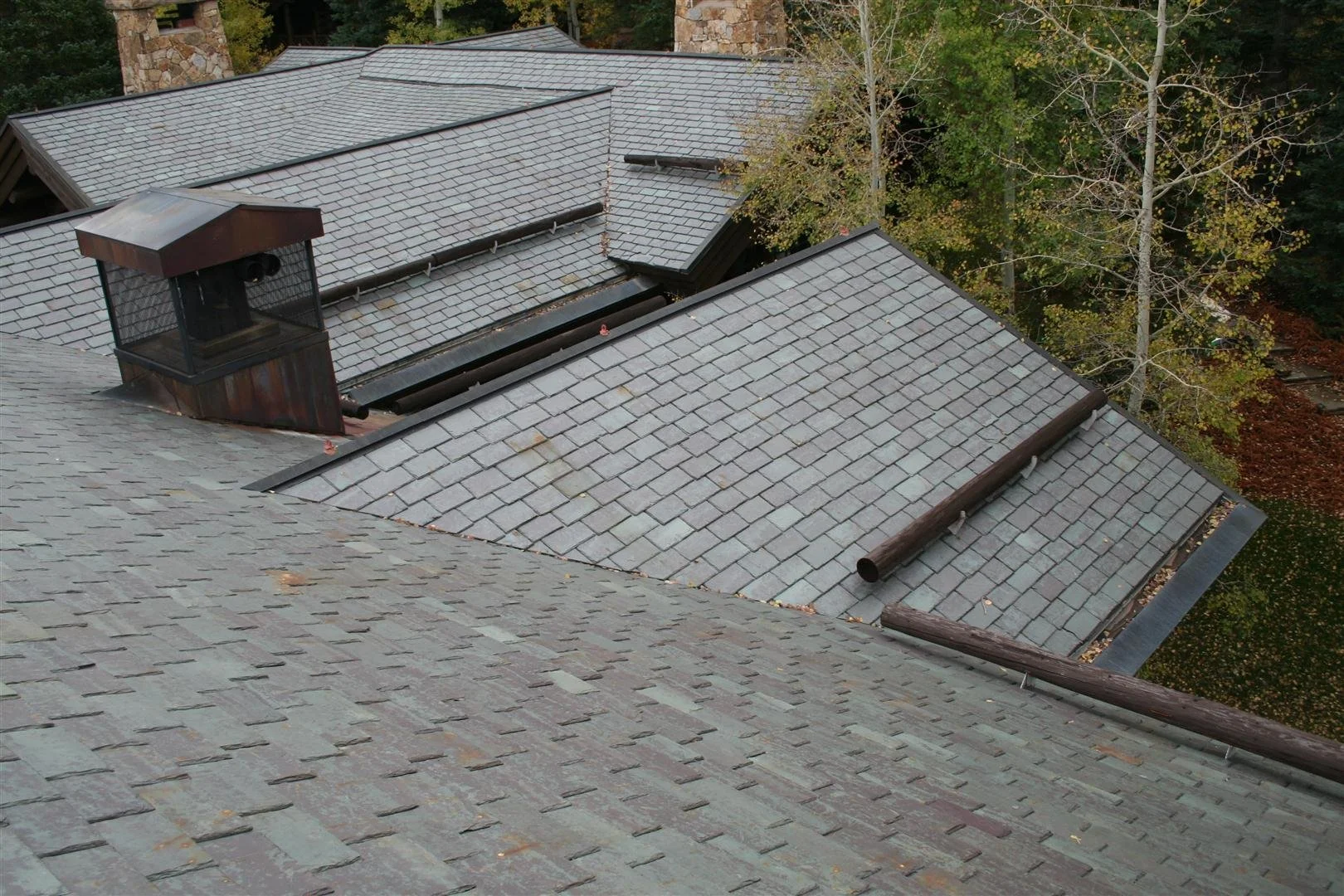 IMG_1872 (Large).JPG