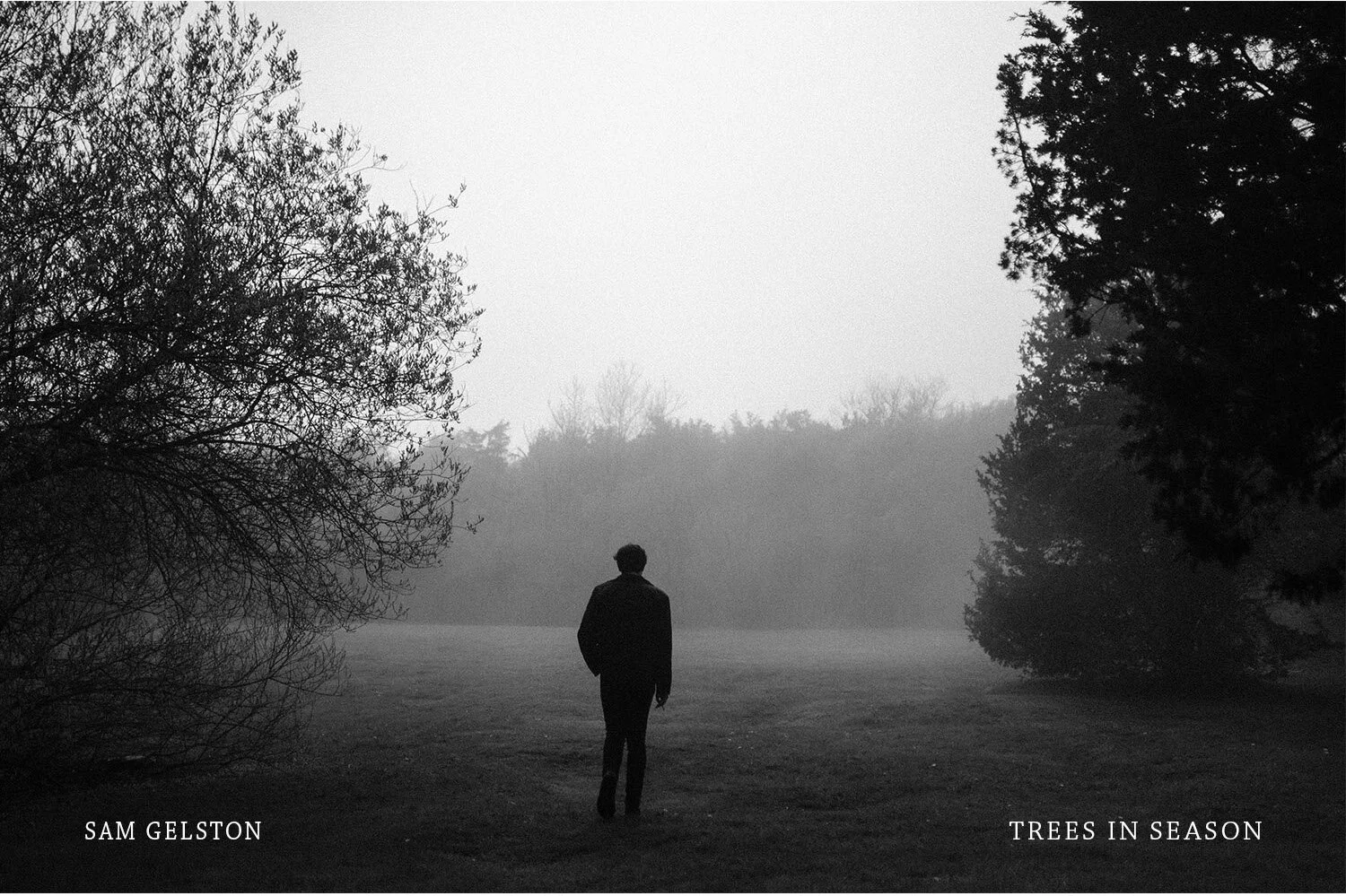 Trees in Season Cover JPG Cut.jpeg