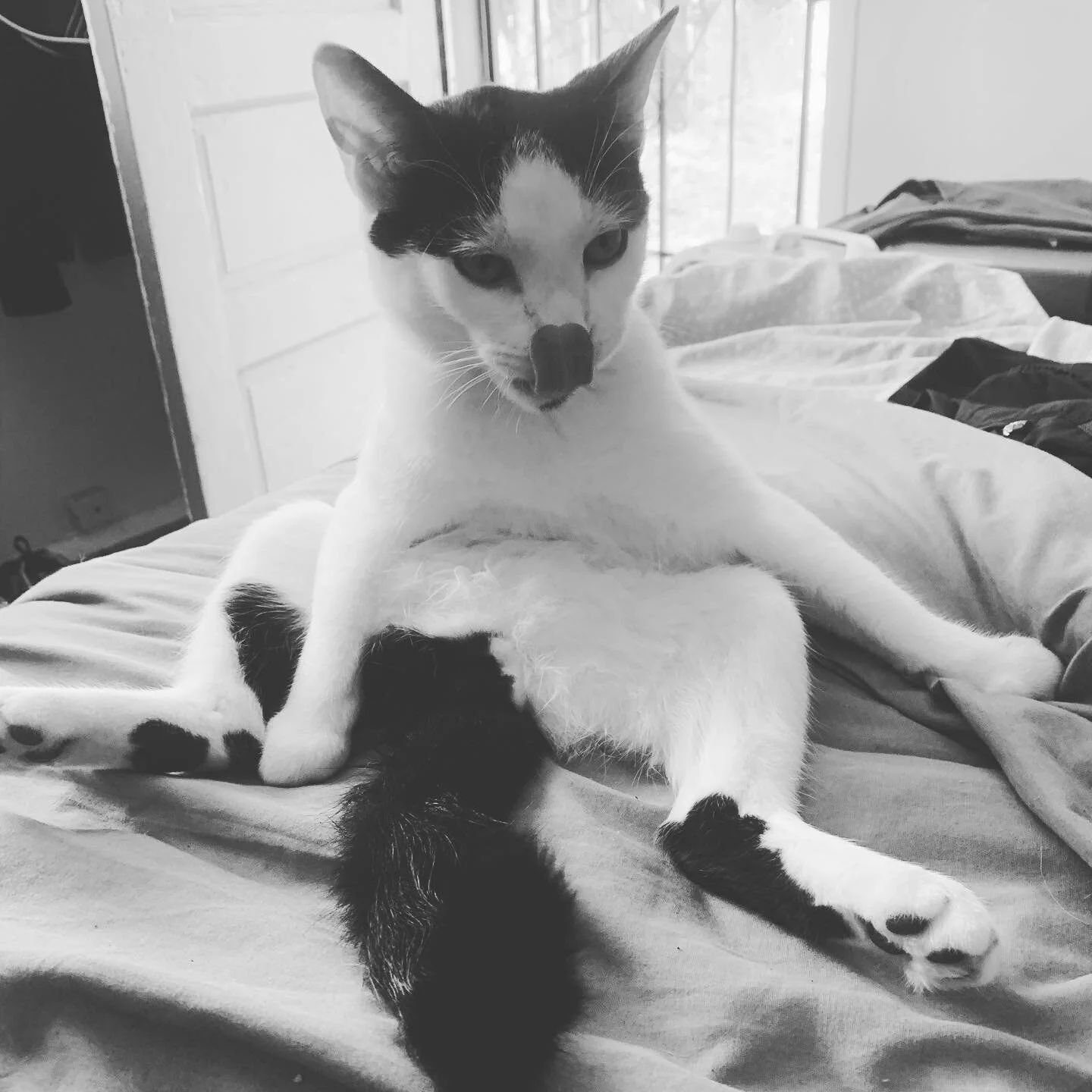 #mood 🦇
we may or may not be playing a show soon. deets to come later if they do. if we do. #whatever #fuckit #blessed #reallyamess 🖤