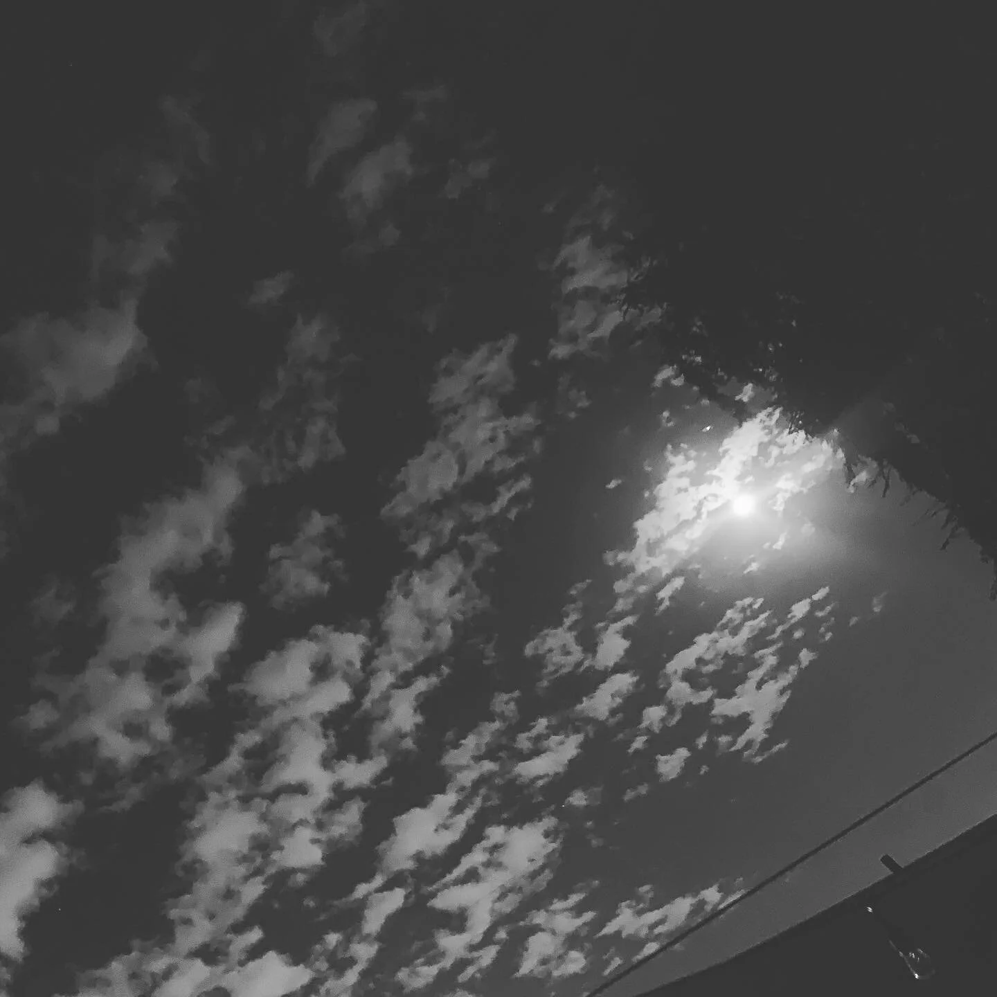 Moon filter content. Are you content? Heteronyms. Meep has herpes. I love him. Who do you love? The moon. The moon loves you back. Who&rsquo;s You Back?