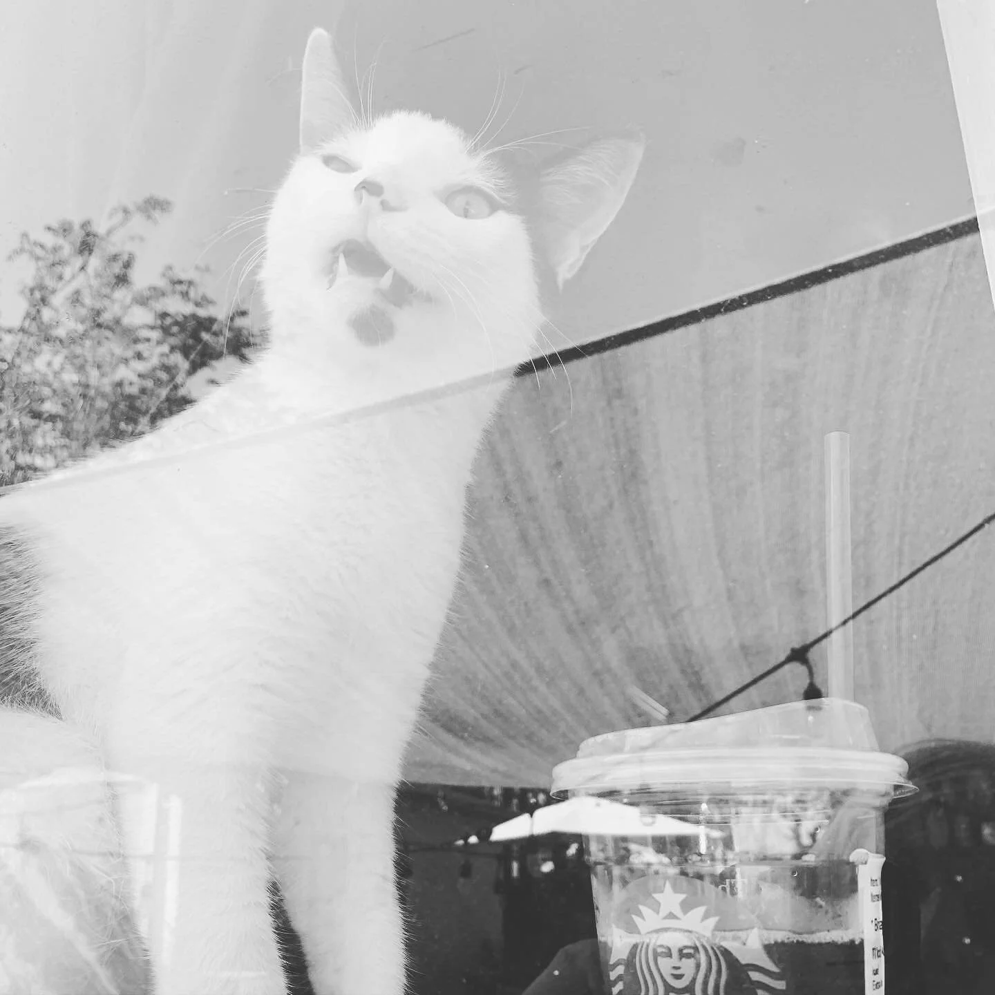 🦷🦇👾🫀💕☠️