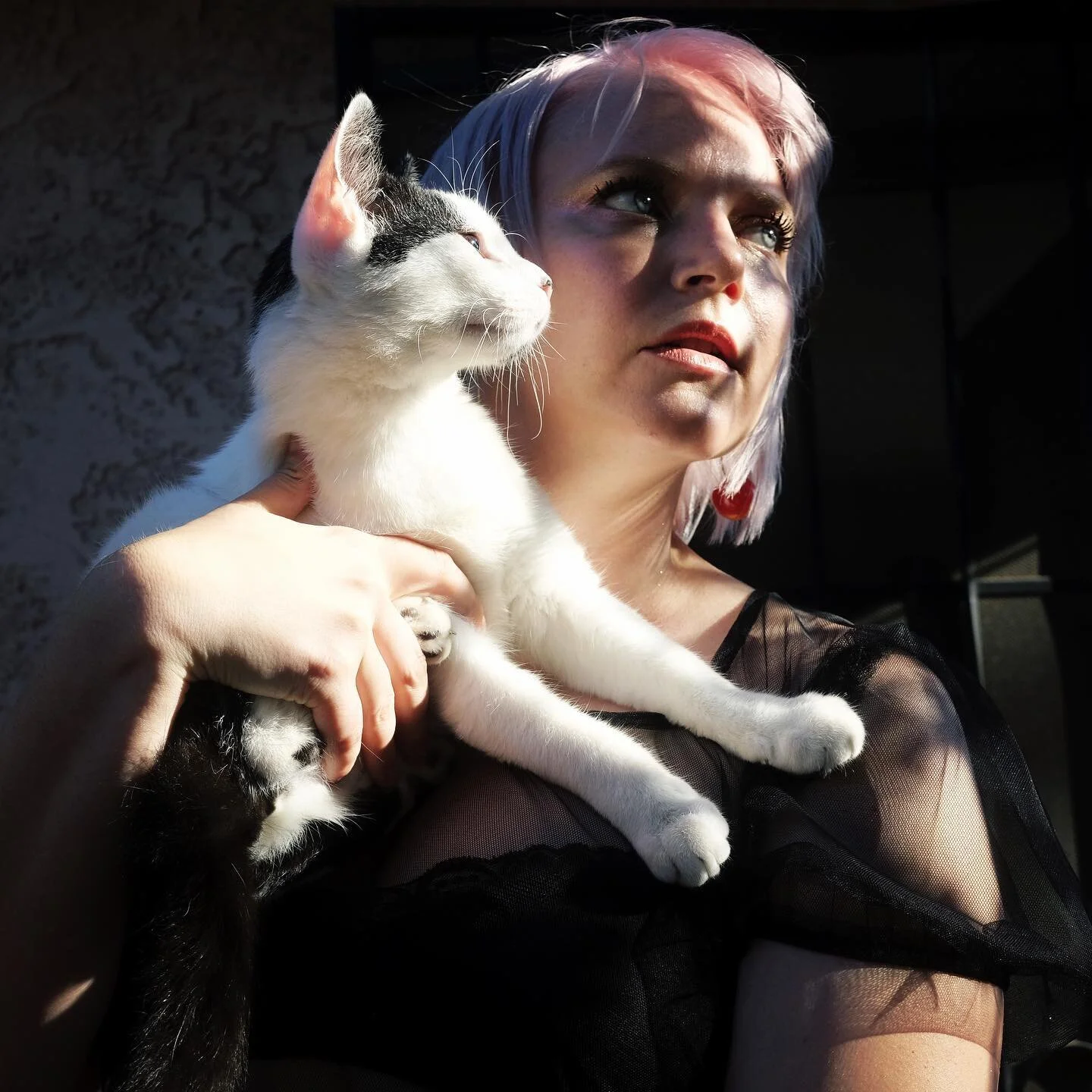 🖤💕💜😽💜💕🖤

📸: @ex_debutante 💋
Hair: @oliviavandermillen 💋