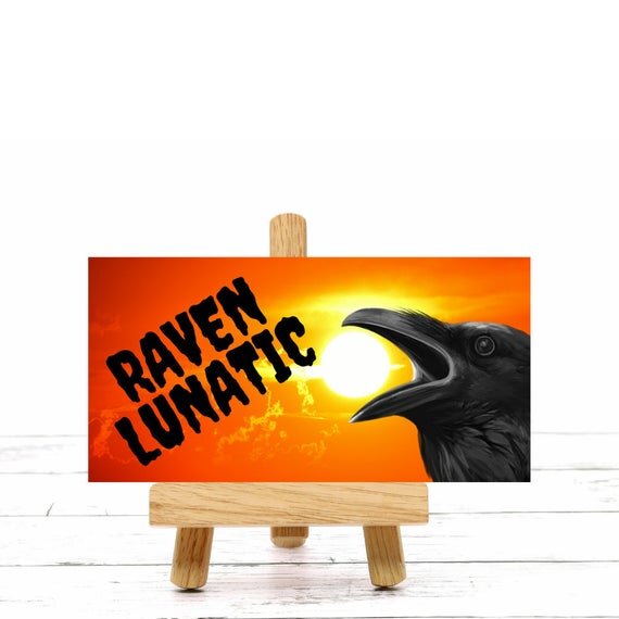https://i.etsystatic.com/9141502/r/il/8eb704/3278972899/il_570xN.3278972899_s8k8.jpg