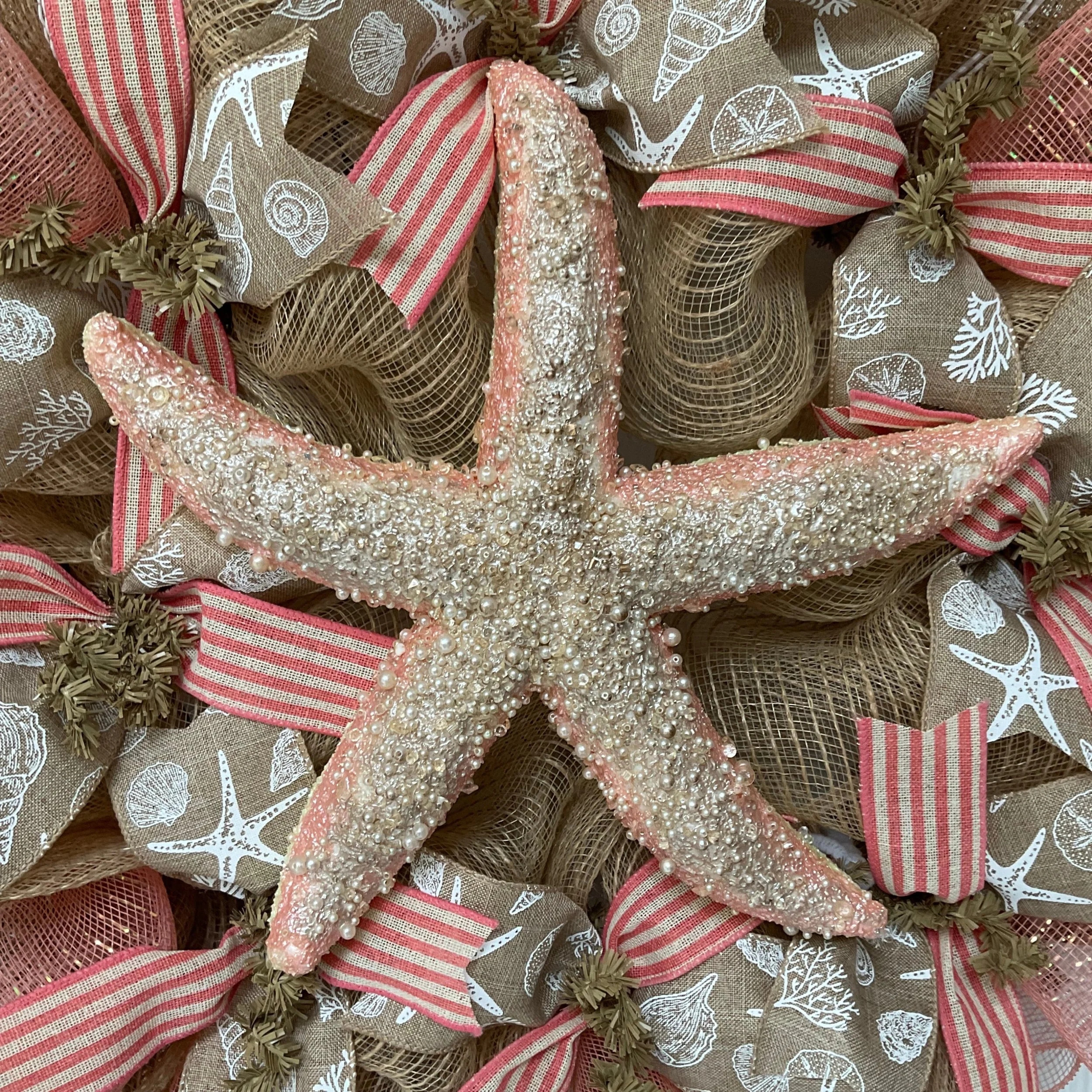 W0833treasuresoftheseastarfish3.jpg