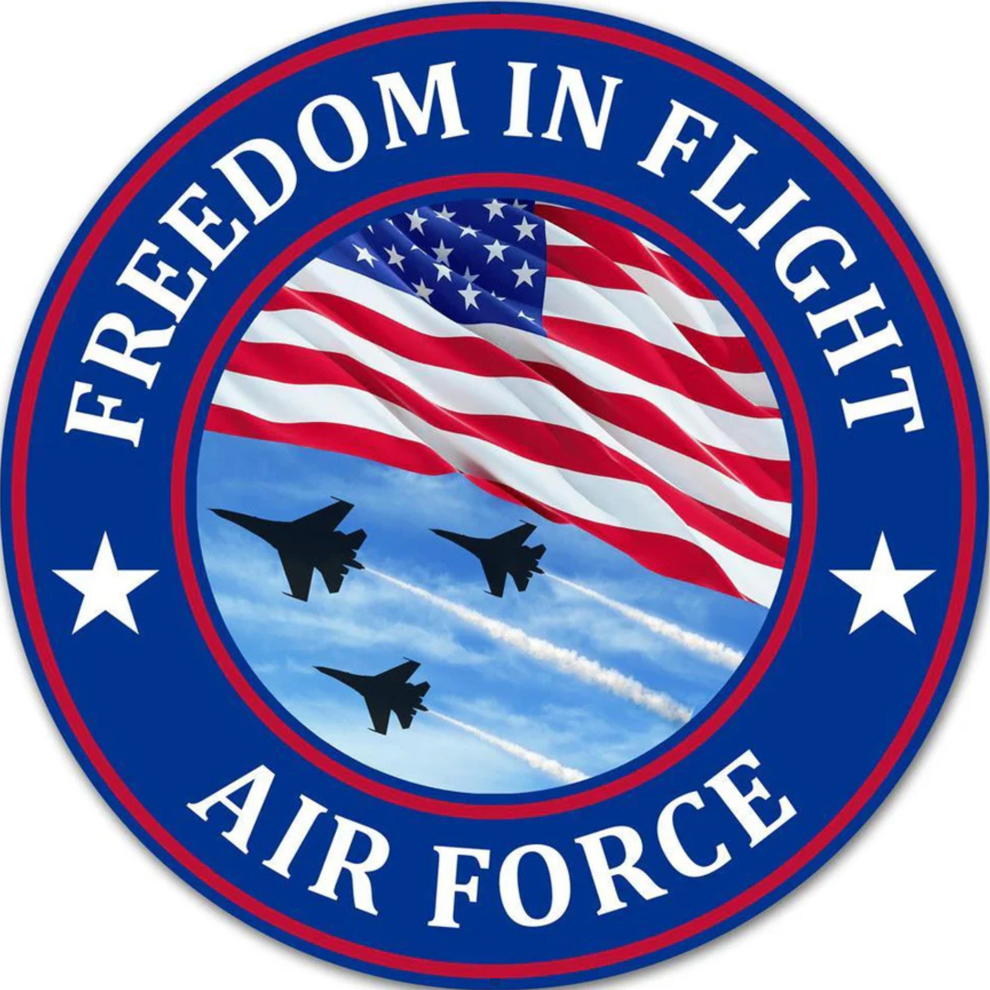 Freedom in Flight Air Force Appreciation Sign, Wreath Attachment or Door Hanger