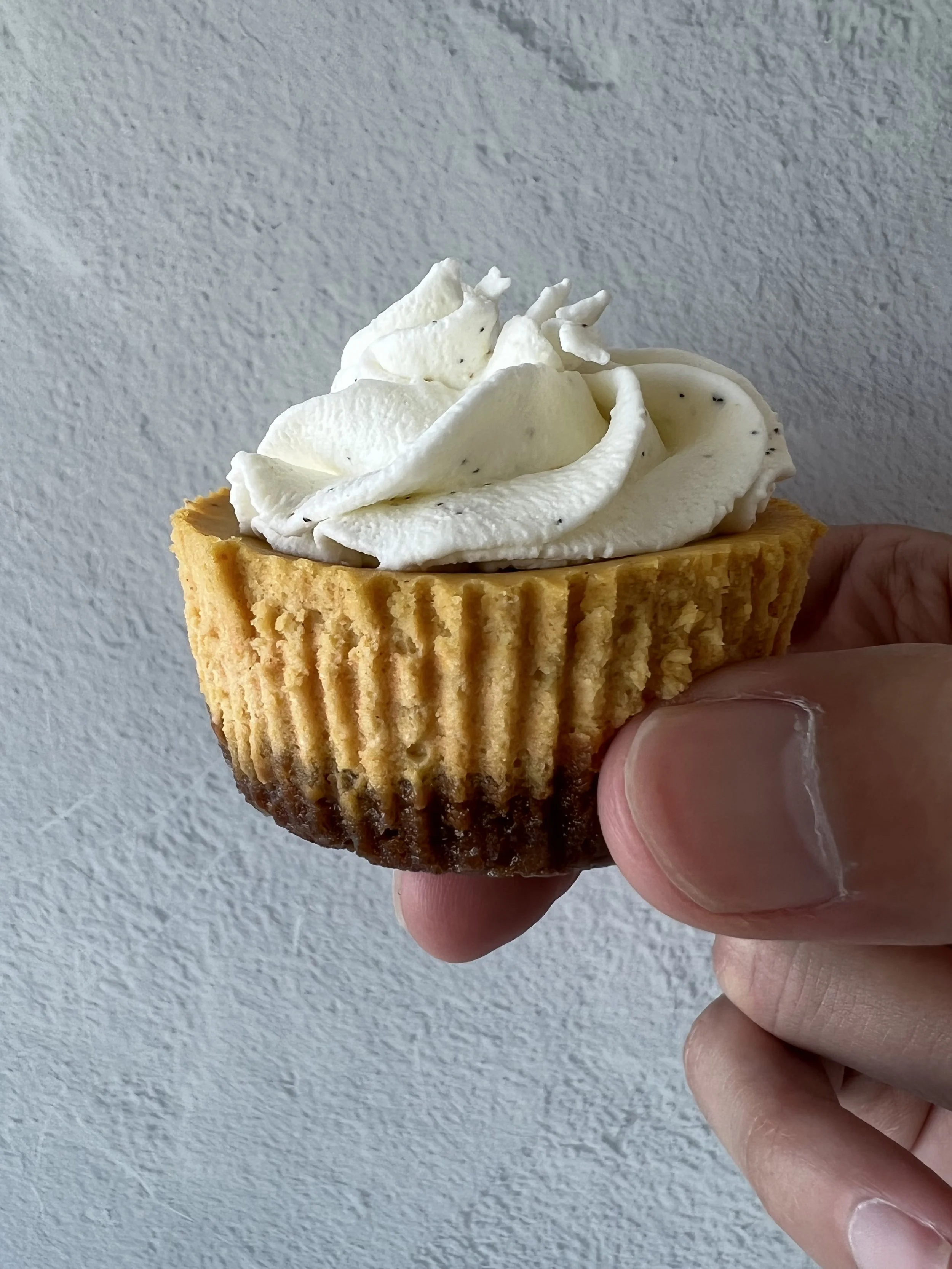 Mini Pumpkin cheesecakes
